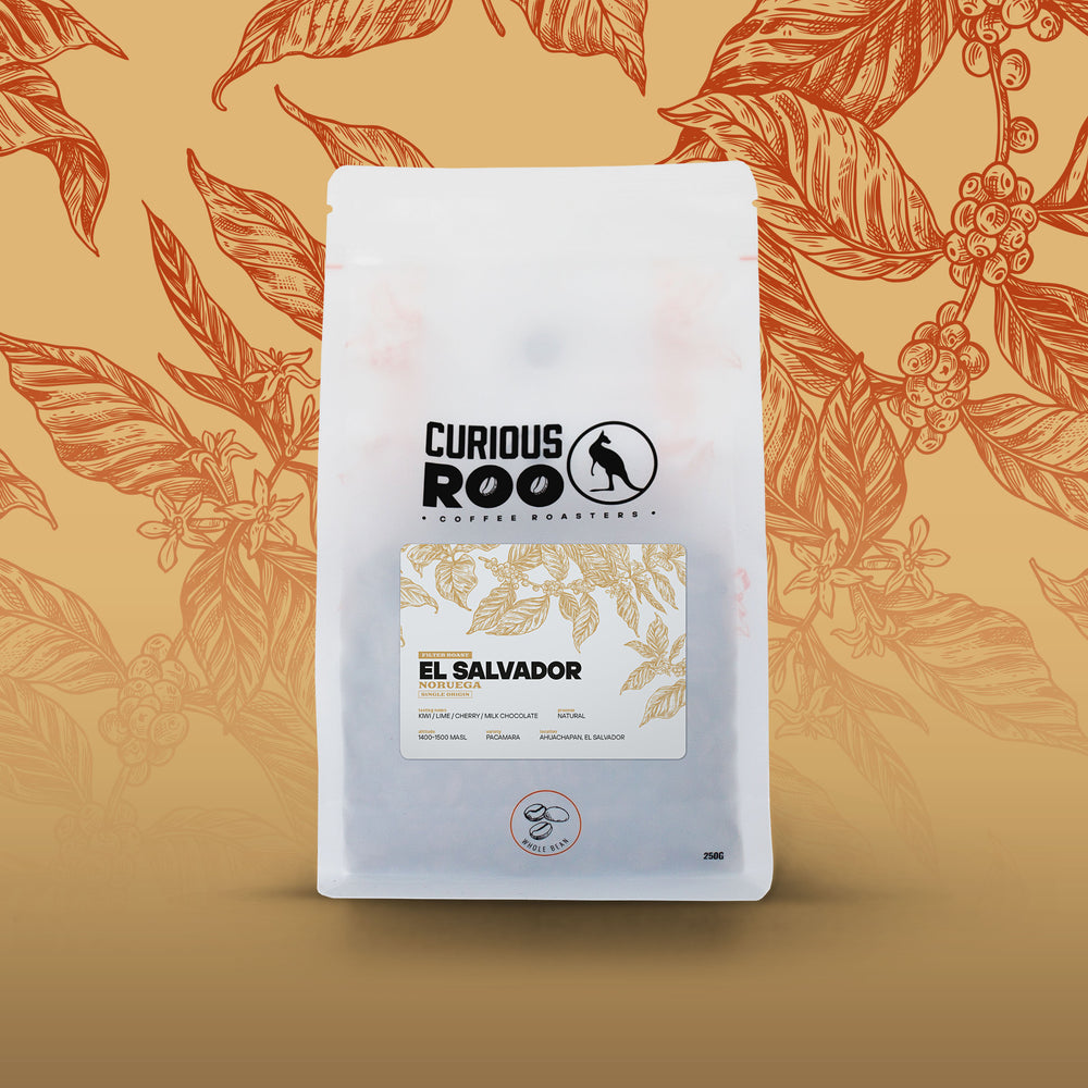 El Salvador - Noruega